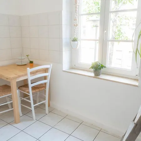 Große 3 Zimmer Wohnung mit Netflix in zentraler Lage Erfurt Exterior foto