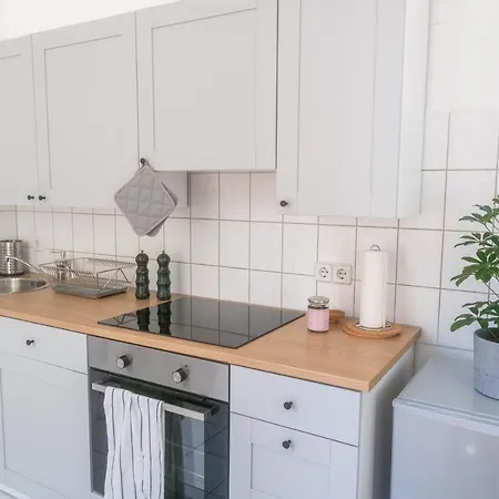 Große 3 Zimmer Wohnung mit Netflix in zentraler Lage Erfurt Exterior foto